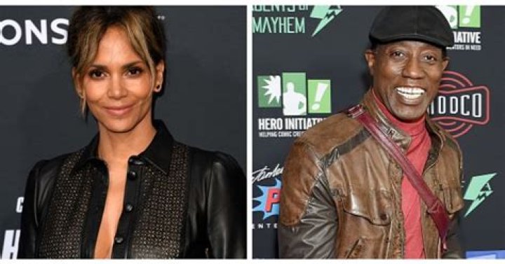The False Allegation Of Wesley Snipes Assaulting Halle Berry